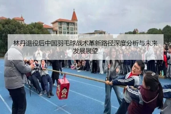 林丹退役后中国羽毛球战术革新路径深度分析与未来发展展望